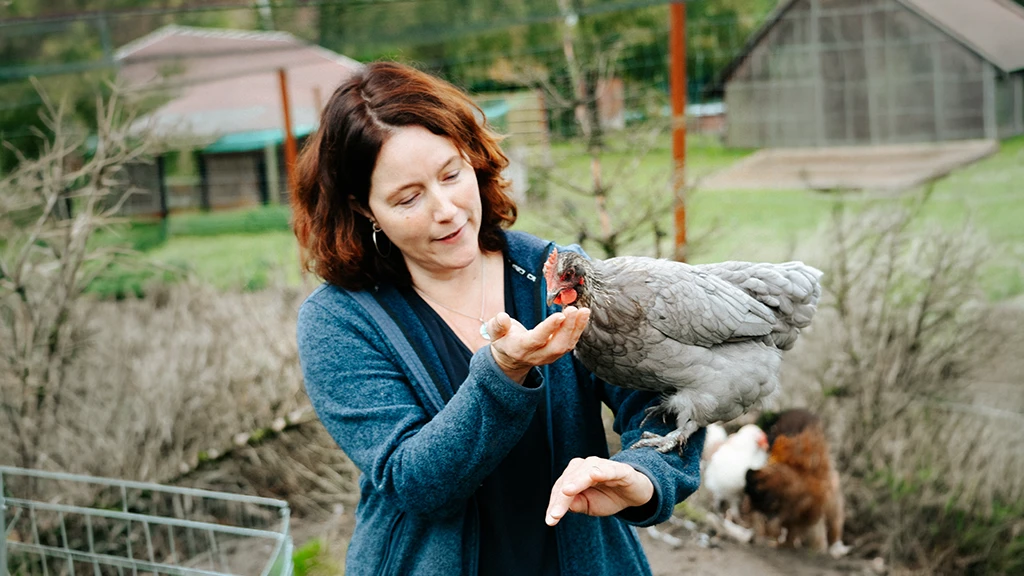 Ruhige Lage vom Hotel Wermelt mit guter Anbindung